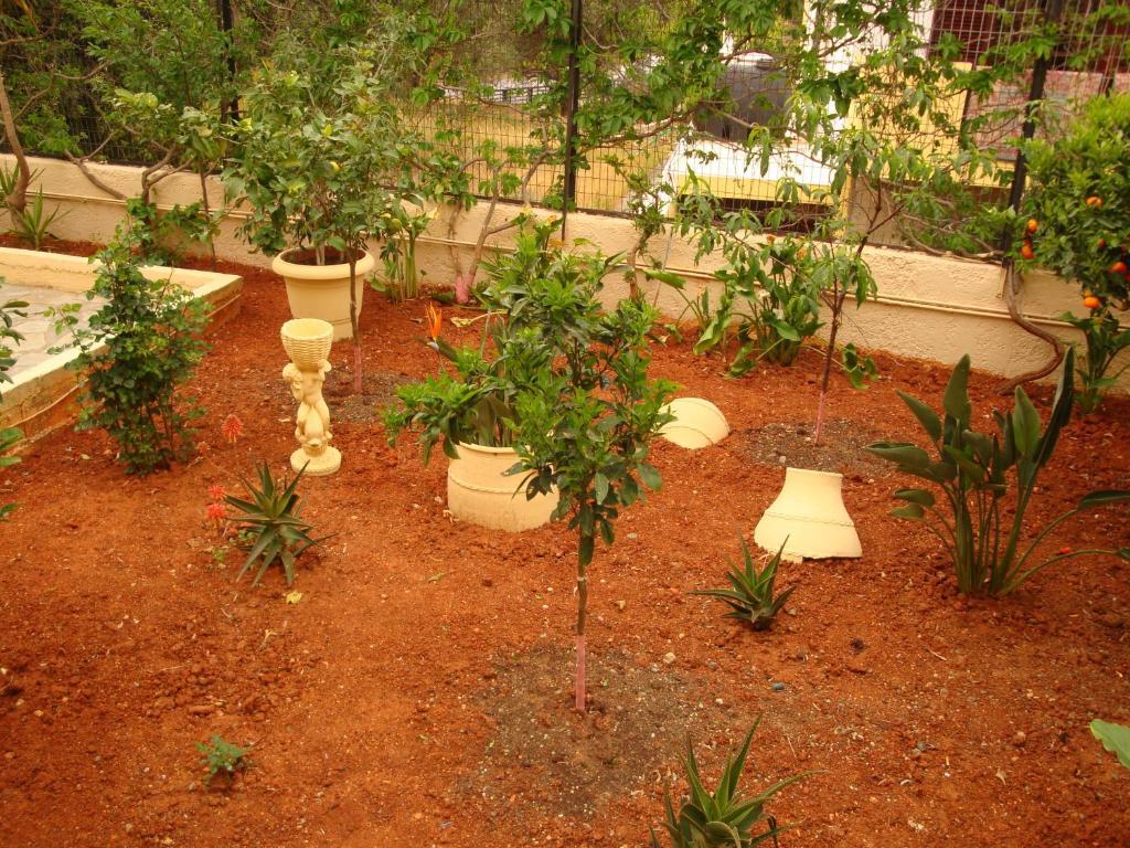 Maria Flora Apartments Crete Island Exterior photo