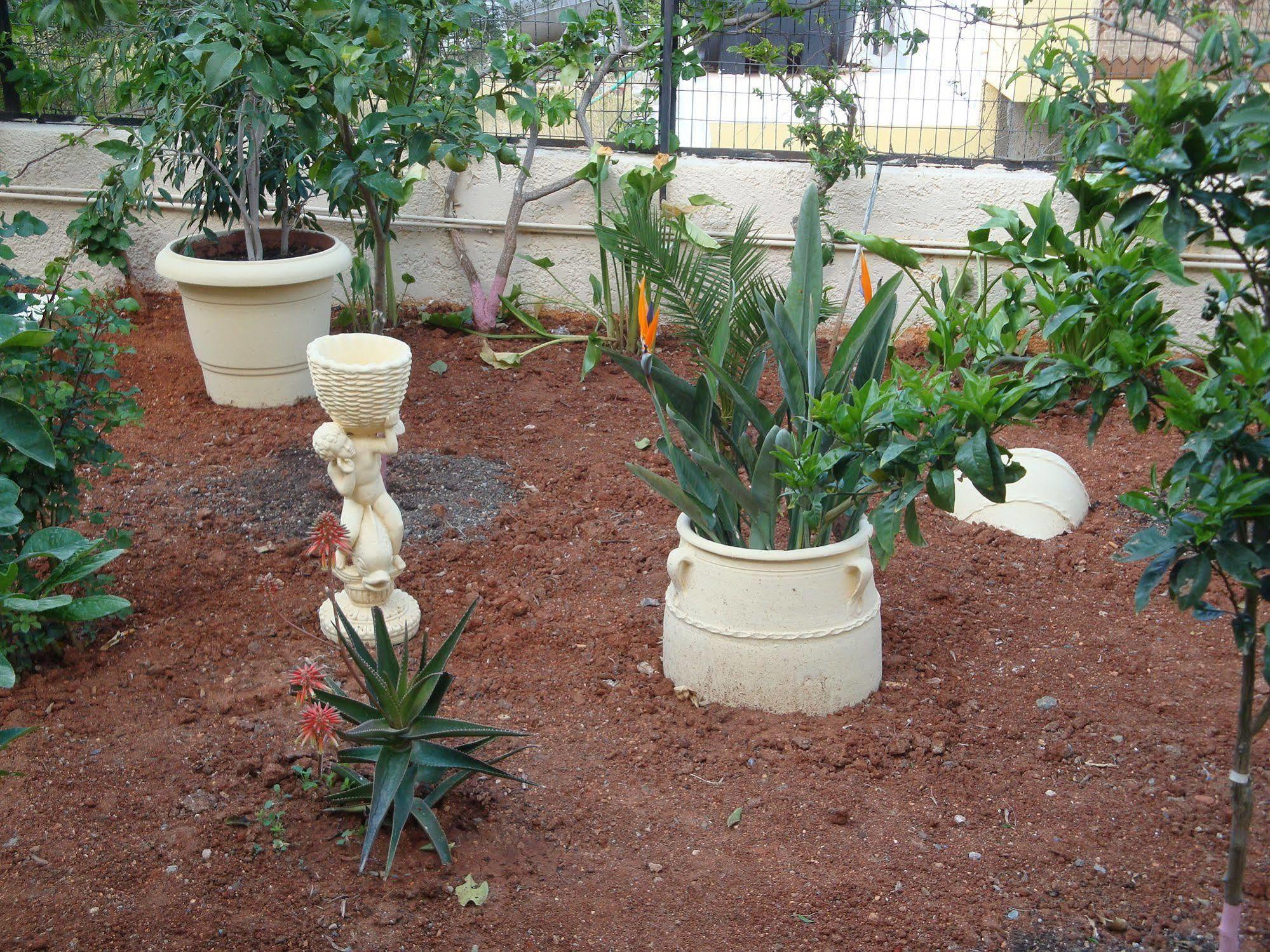 Maria Flora Apartments Crete Island Exterior photo